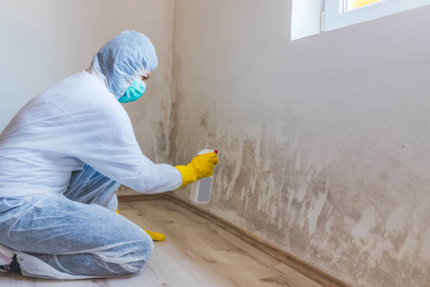 Licensed Bathroom Mold Removal service in Woodbury, PA - WQB Mold Removal