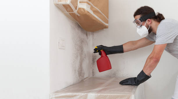 Professional Bathroom Mold Removal technician working in Woodbury, PA