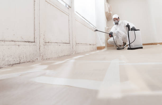 24/7 Emergency Bathroom Mold Removal experts in Woodbury, PA
