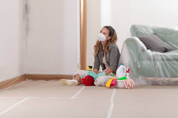 Reliable Bathroom Mold Removal contractor in Woodbury, PA by WQB Mold Removal