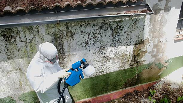 Top rated local Bathroom Mold Removal specialists in Woodbury, PA